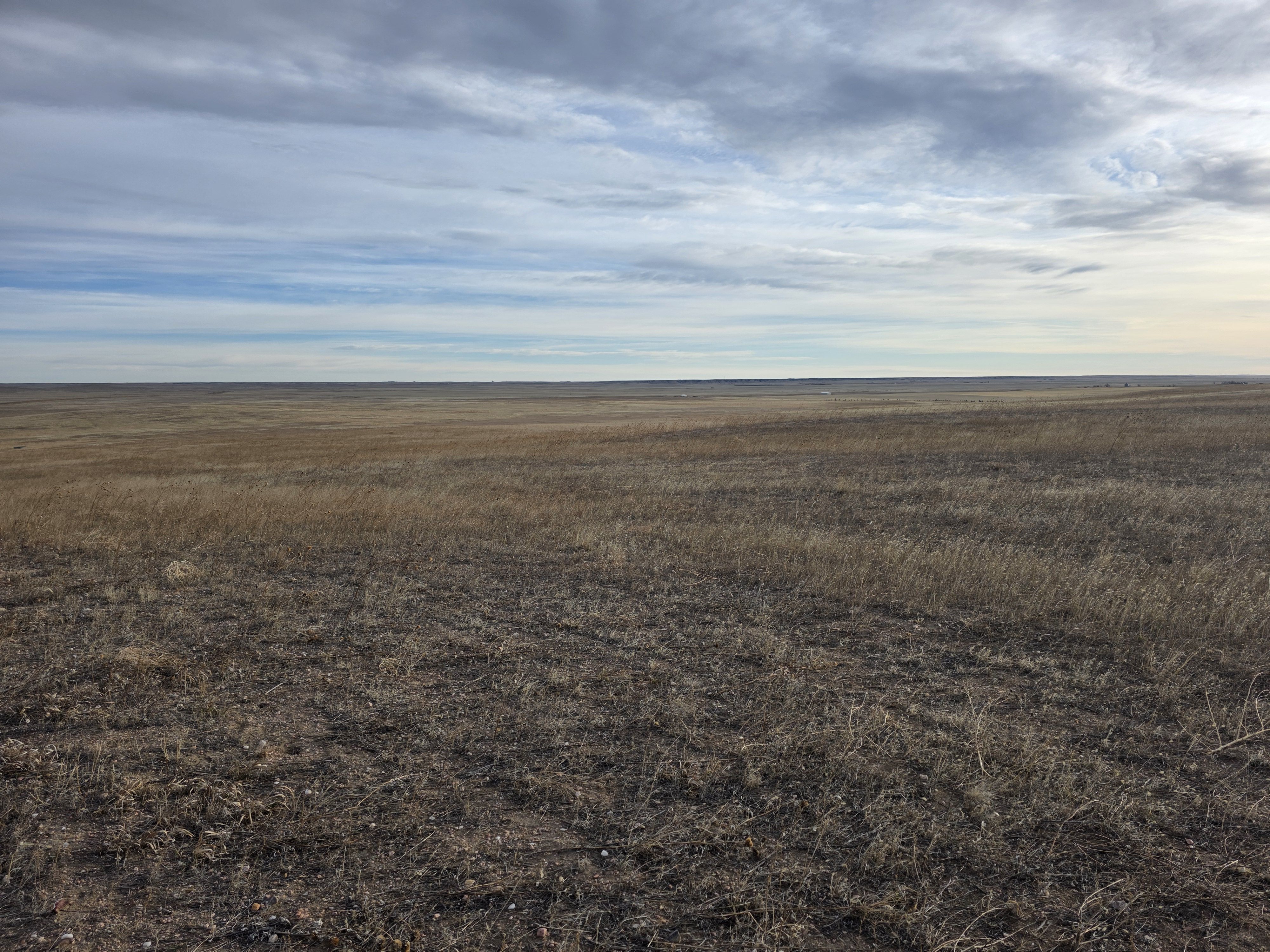 Listing Photo: Gound 1